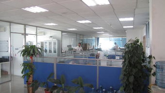 一呼百應(yīng)公司頻道網(wǎng)絡(luò)技術(shù)研發(fā) 創(chuàng)新驅(qū)動與未來展望