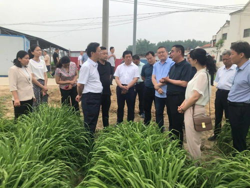 大力發展我省特色地標農產品種植加工，盡快提升產業化水平調研