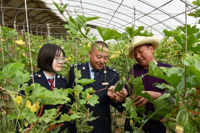 戈壁灘上“菜園子”直通“菜籃子”，水產(chǎn)養(yǎng)殖助力現(xiàn)代農(nóng)業(yè)展宏圖